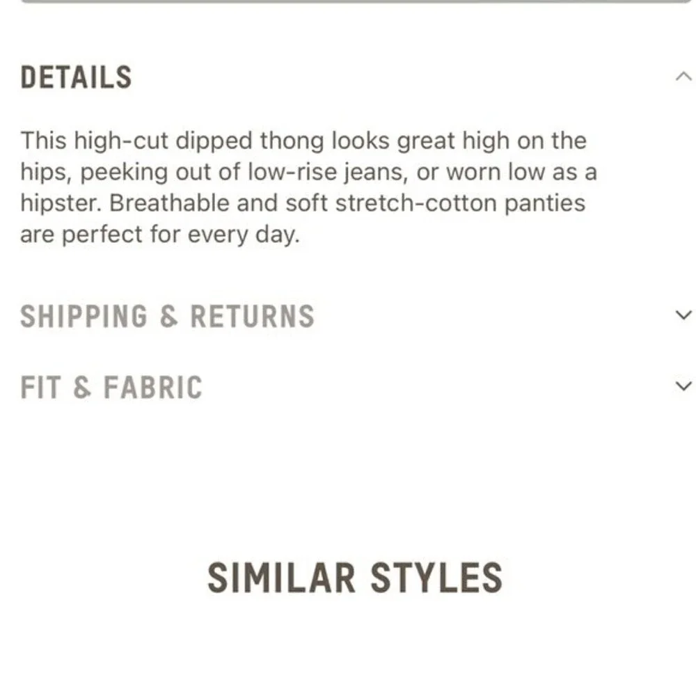 NWT! skims dipped cotton thong in kyanite